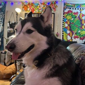 Meet your Posher, Matthew